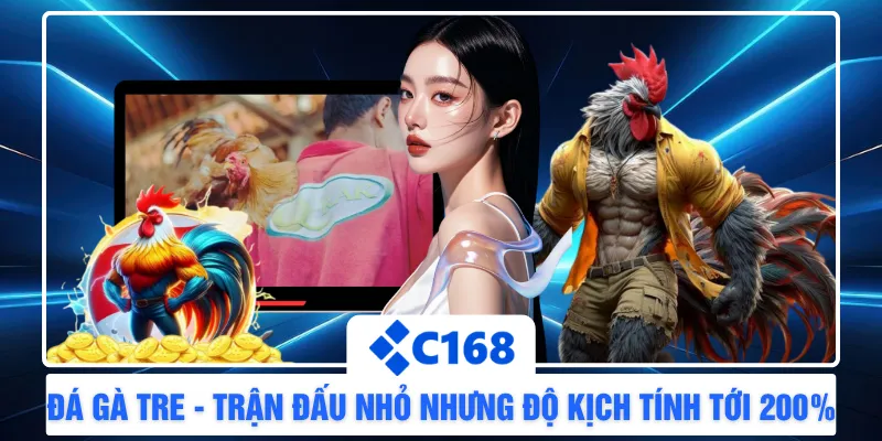 Đá Gà Tre - Trận Đấu Nhỏ Nhưng Độ Kịch Tính Tới 200%
